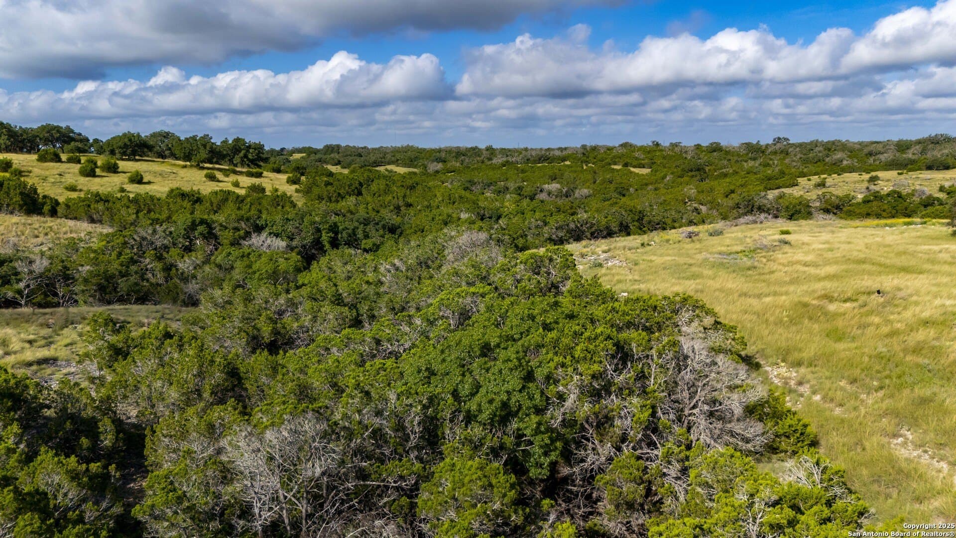 15.01 acres in Gillespie County - photo 10