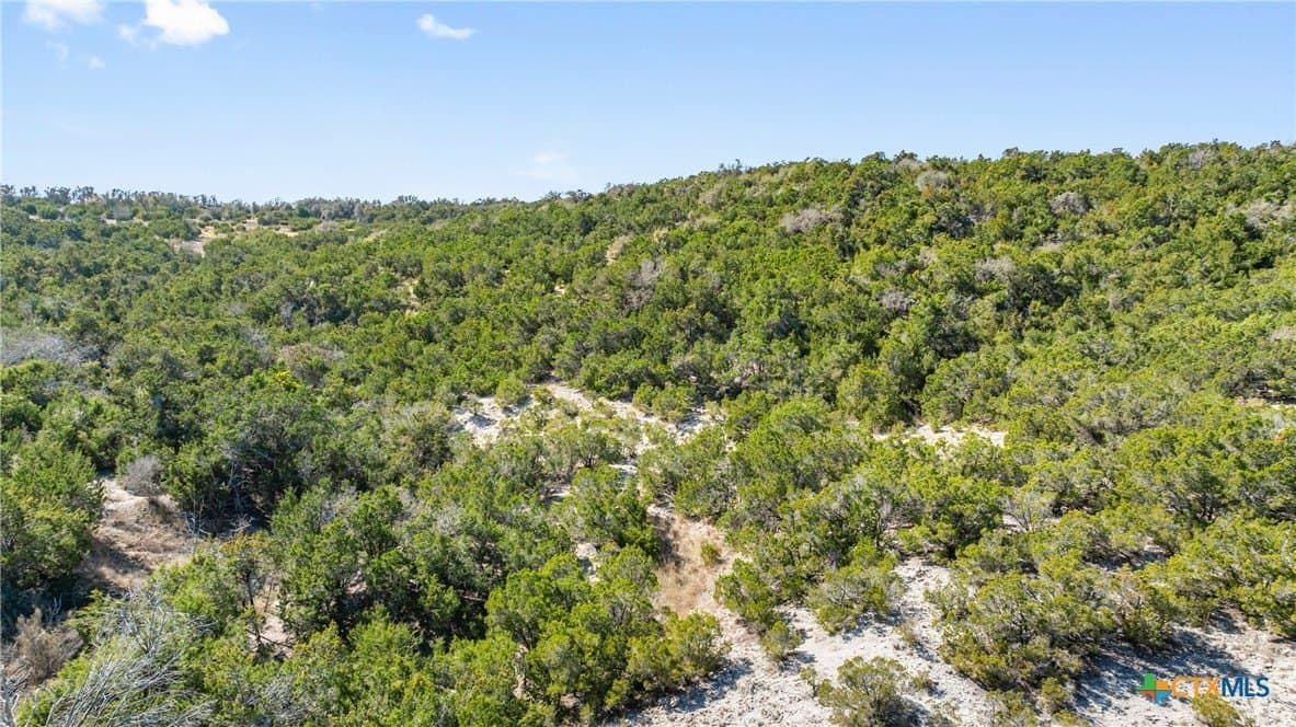 127 acres in Gillespie County - photo 40