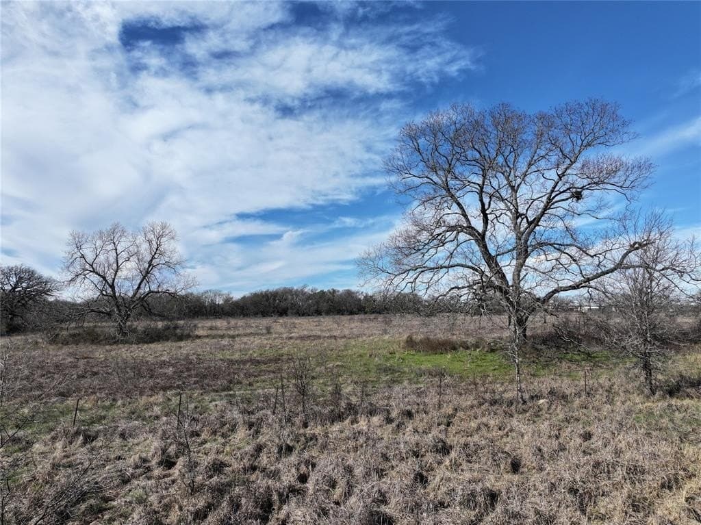 127 acres in Limestone County - photo 9