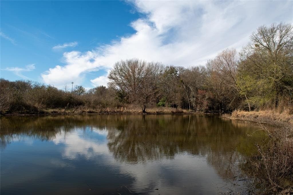 127 acres in Limestone County - photo 12