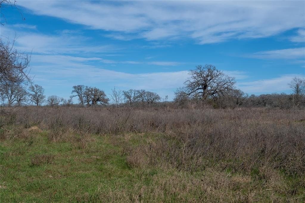 127 acres in Limestone County - photo 13