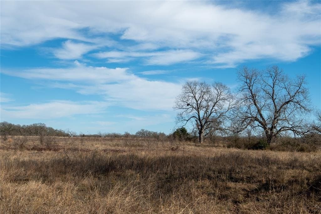127 acres in Limestone County - photo 11