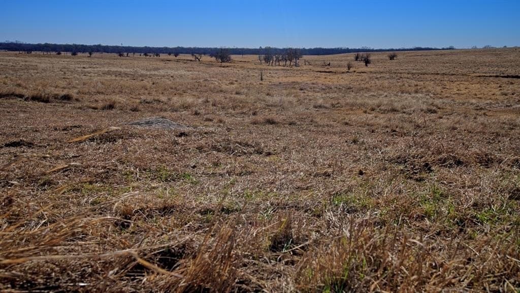401 acres in Clay County - photo 17