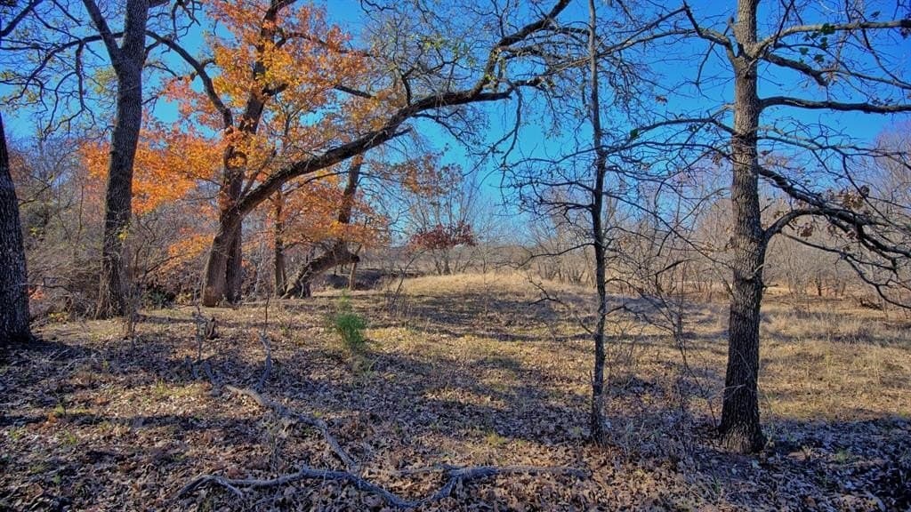 401 acres in Clay County - photo 25