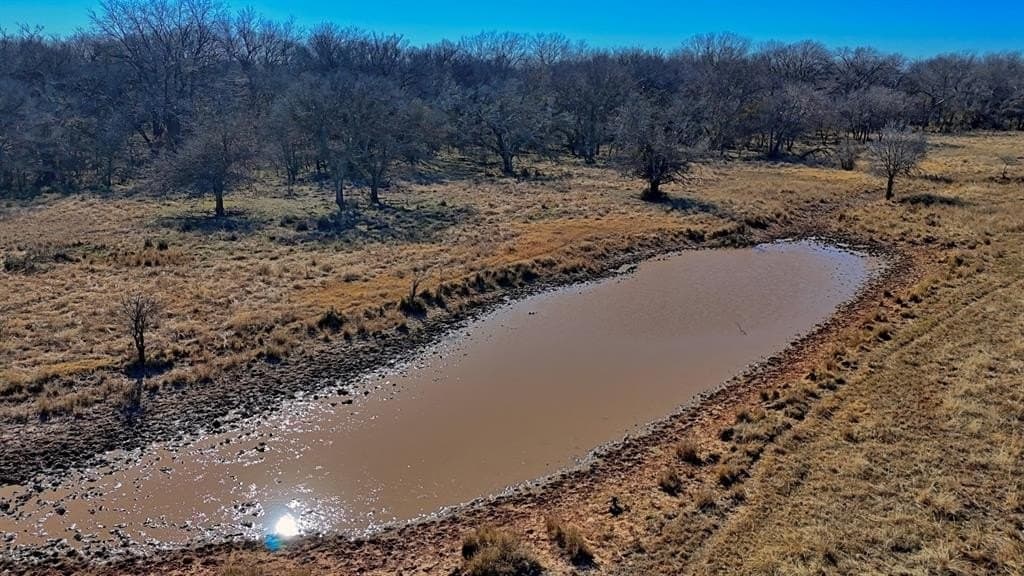 401 acres in Clay County - photo 4