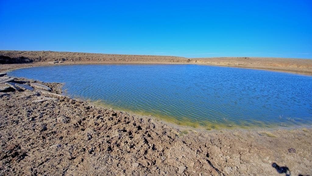 401 acres in Clay County - photo 3