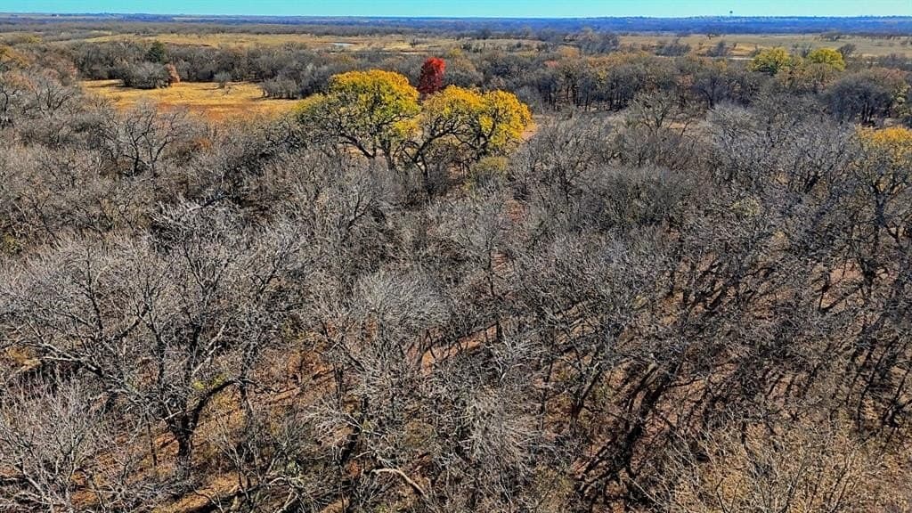401 acres in Clay County - photo 20
