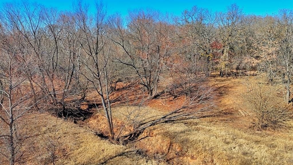 401 acres in Clay County - photo 29