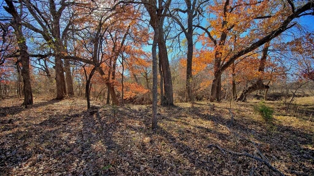 401 acres in Clay County - photo 30