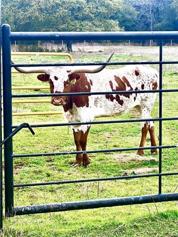15 acres in McLennan County - photo 2