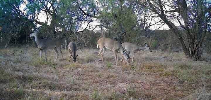 10.28 acres in McCulloch County - photo 5