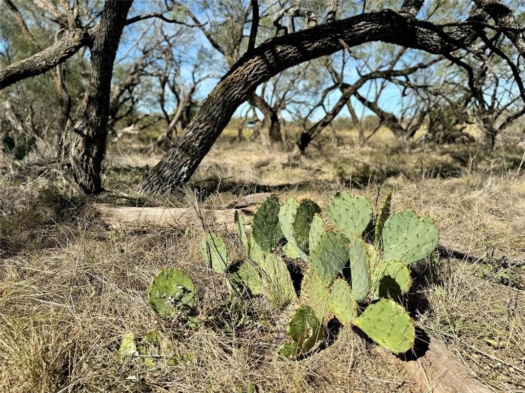 10.28 acres in McCulloch County - photo 3