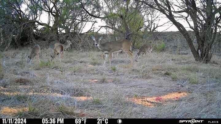 10.28 acres in McCulloch County - photo 12