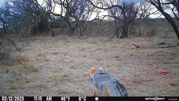 10.28 acres in McCulloch County - photo 7