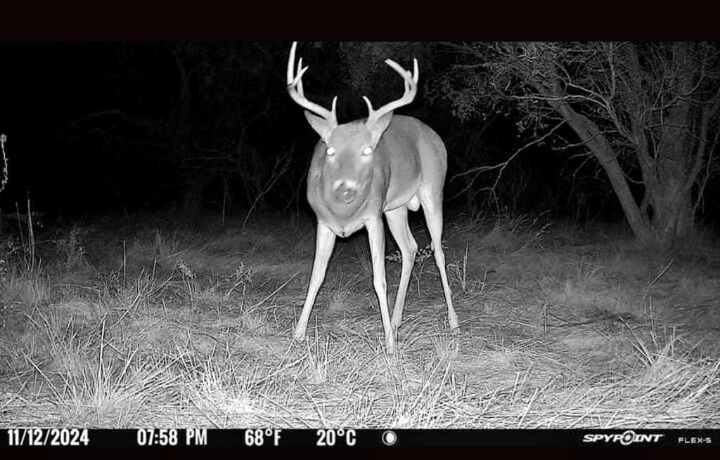 10.28 acres in McCulloch County - photo 8