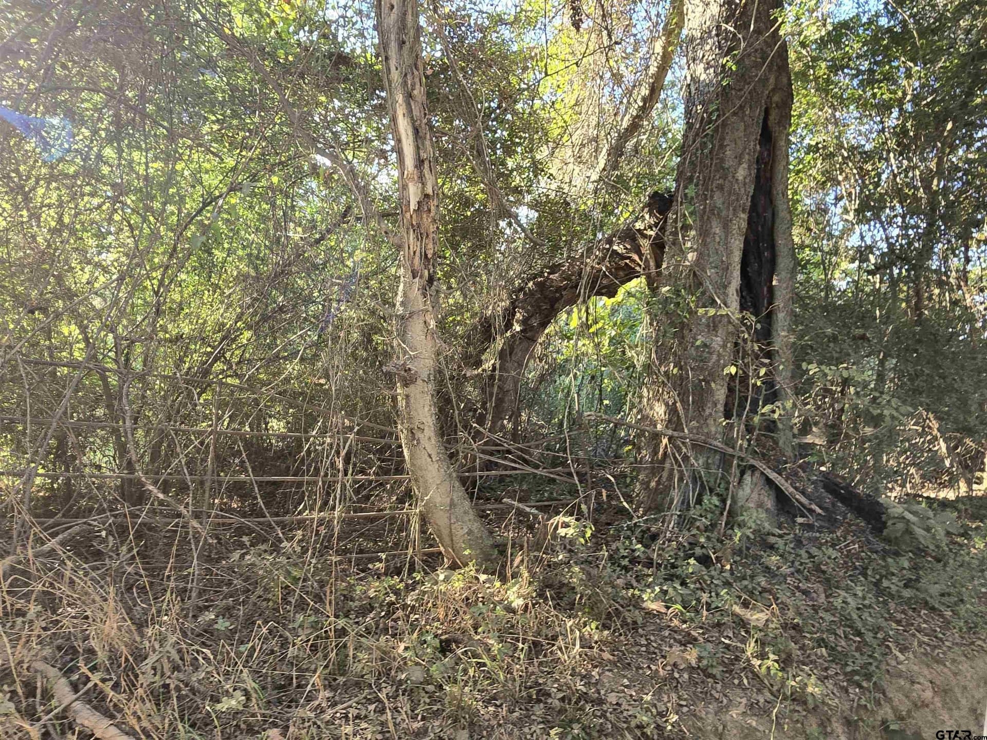 50.04 acres in Cass County - photo 14