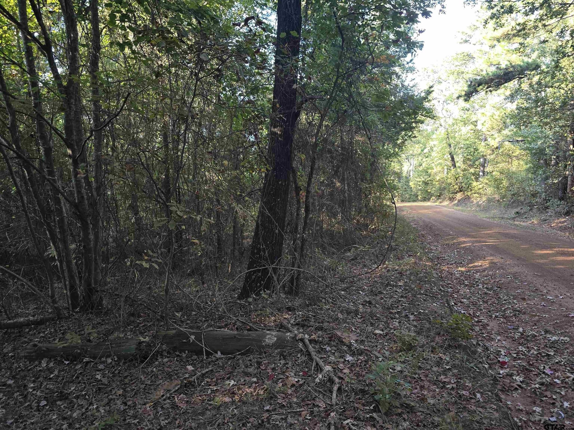50.04 acres in Cass County - photo 6
