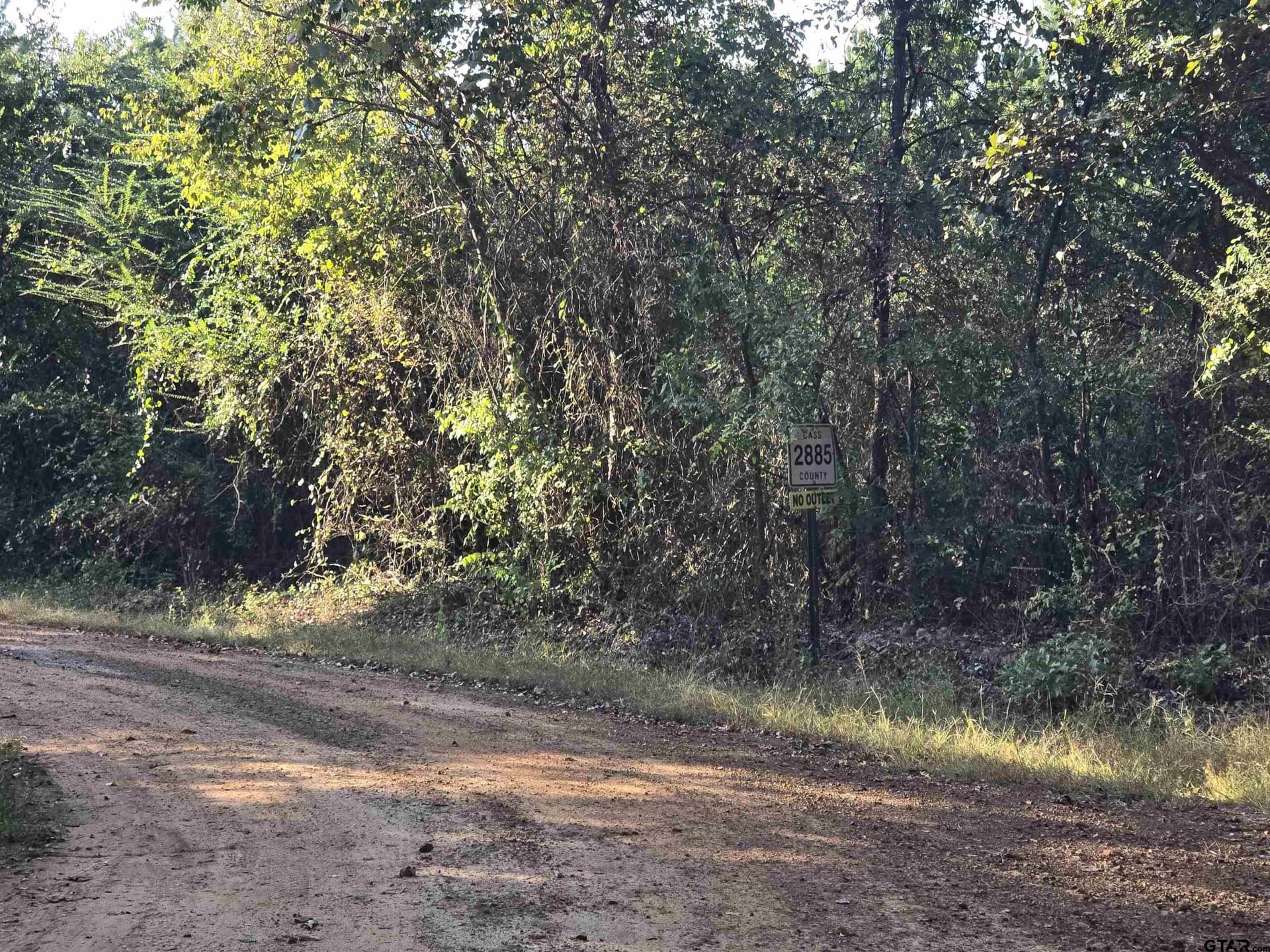 50.04 acres in Cass County - photo 12