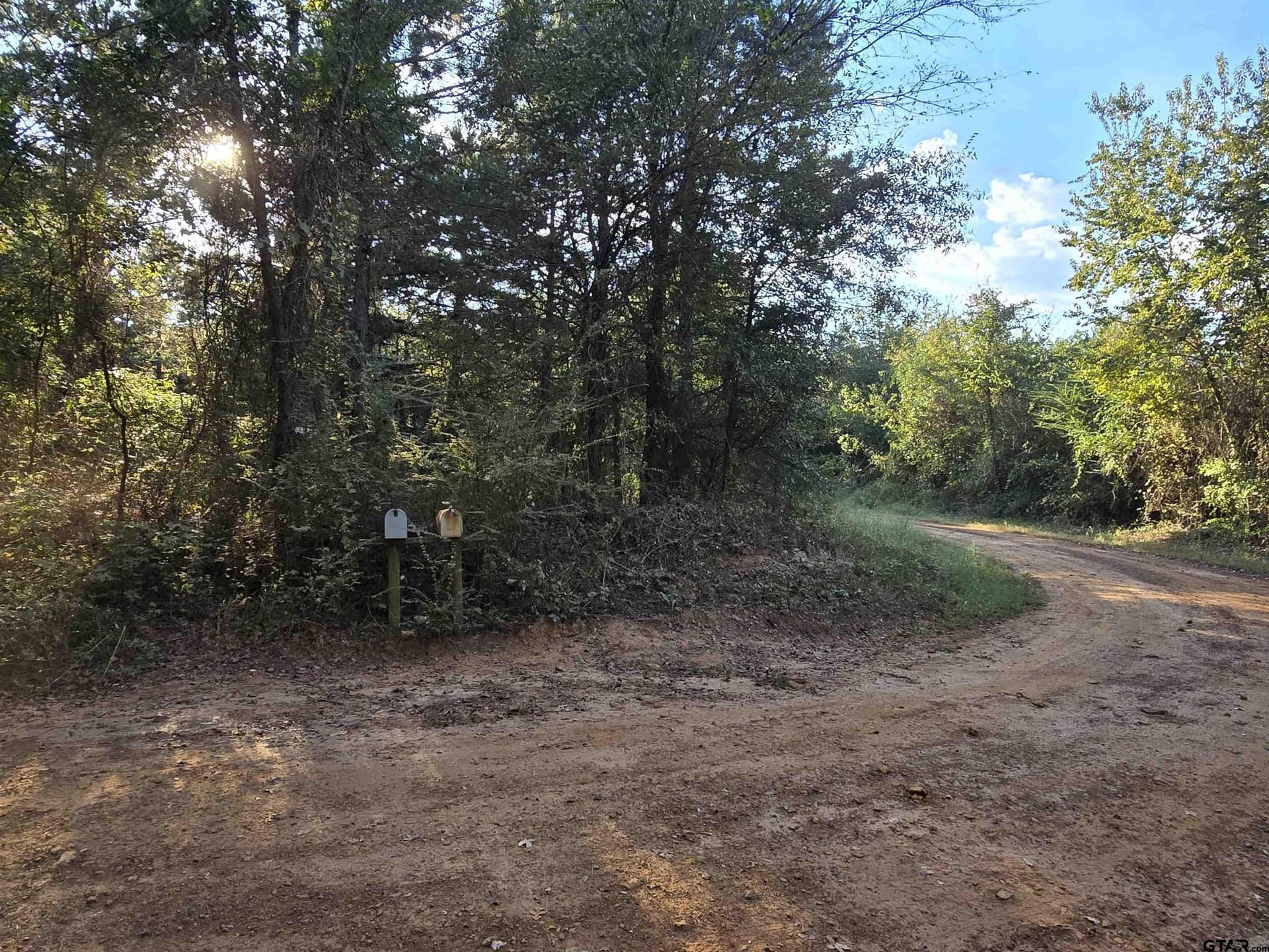 50.04 acres in Cass County - photo 13