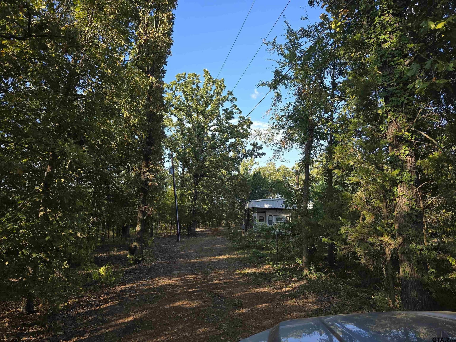 50.04 acres in Cass County - photo 16