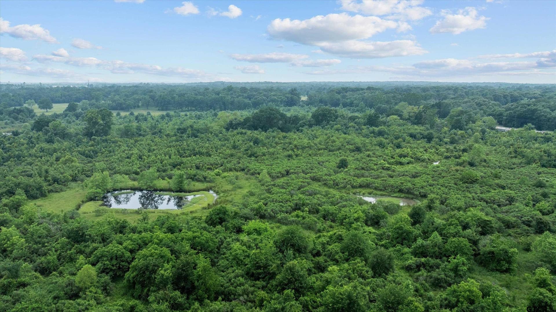12.43 acres in Van Zandt County - photo 26