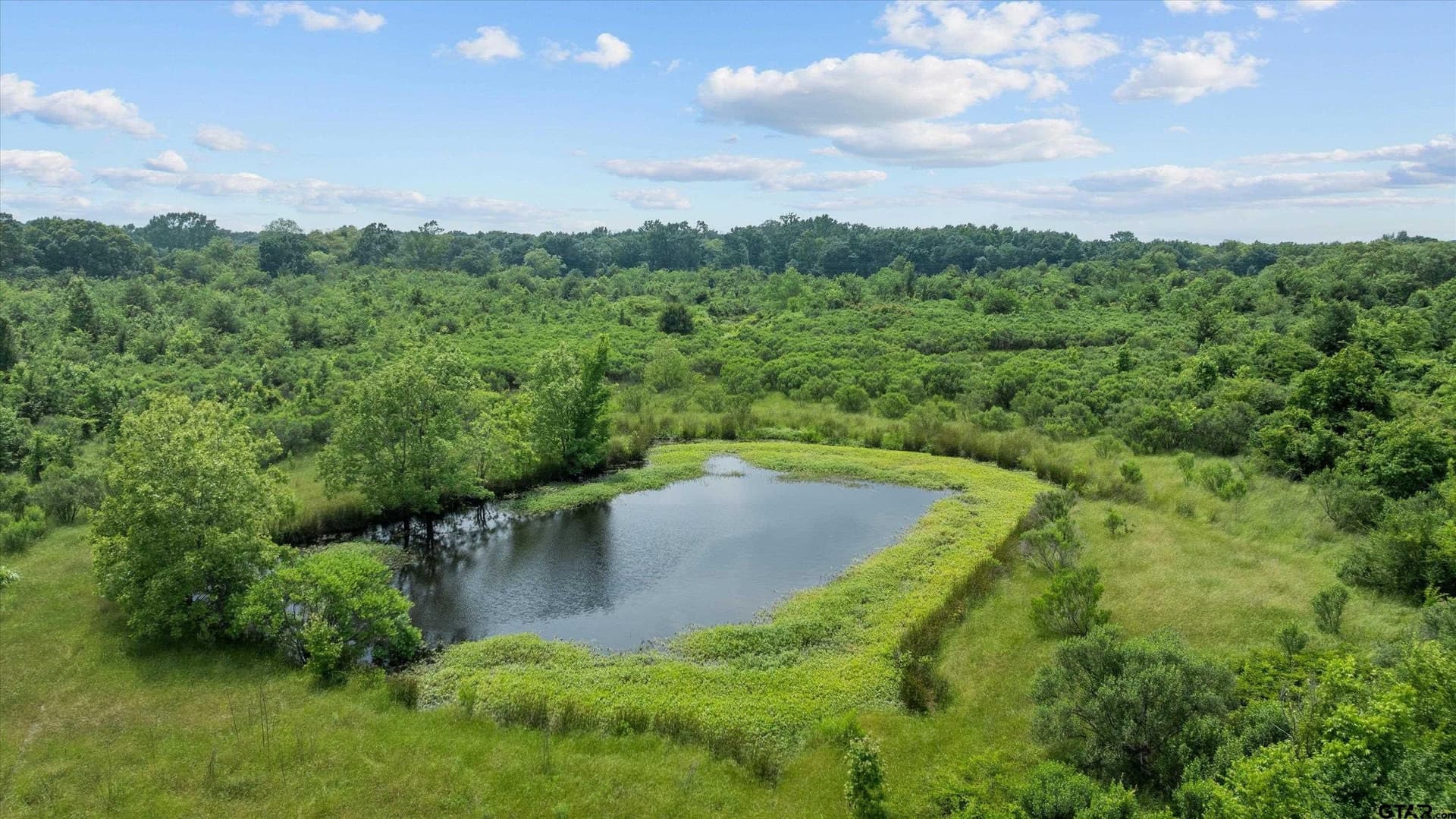12.43 acres in Van Zandt County - photo 13