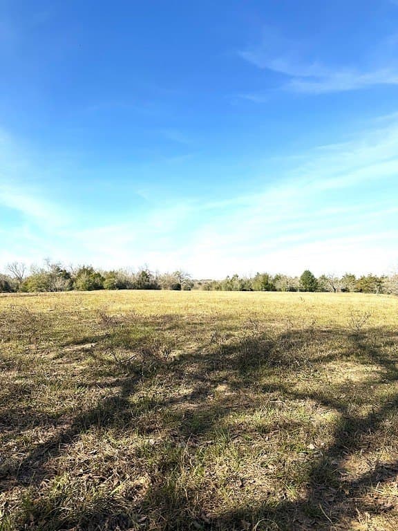 63 acres in Lee County - photo 4