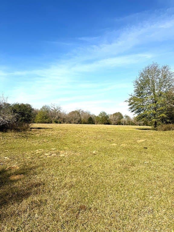 63 acres in Lee County - photo 5