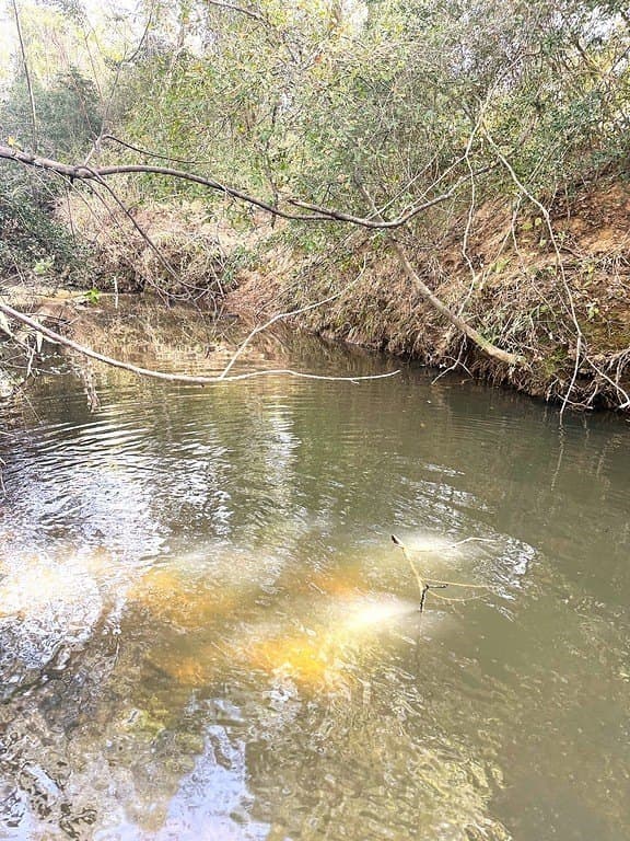 63 acres in Lee County - photo 13