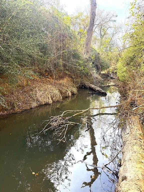 63 acres in Lee County - photo 14