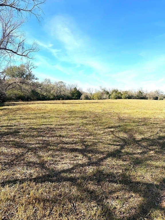 63 acres in Lee County - photo 2