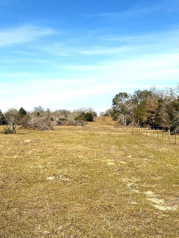 63 acres in Lee County - photo 8