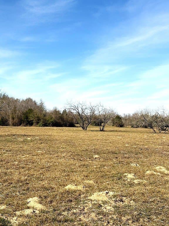 63 acres in Lee County - photo 9