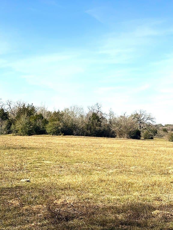 63 acres in Lee County - photo 3