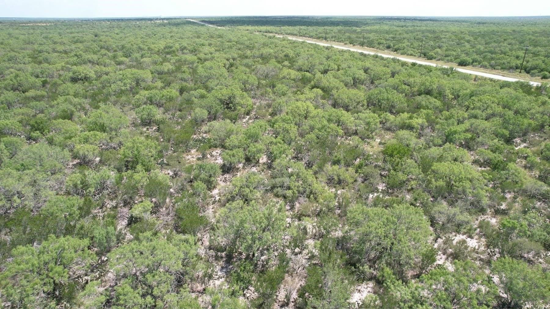 100 acres in La Salle County - photo 4