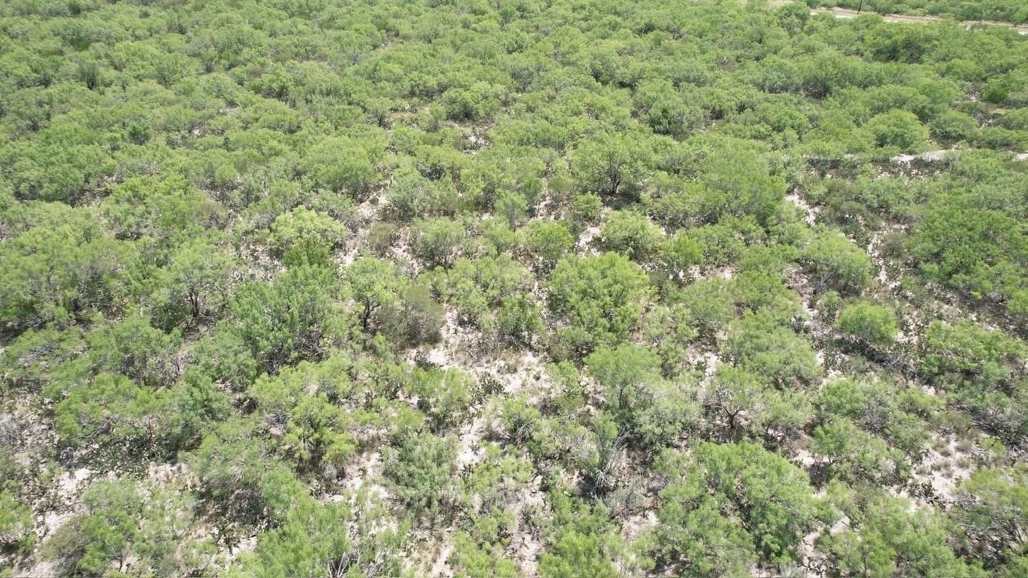 100 acres in La Salle County - photo 3