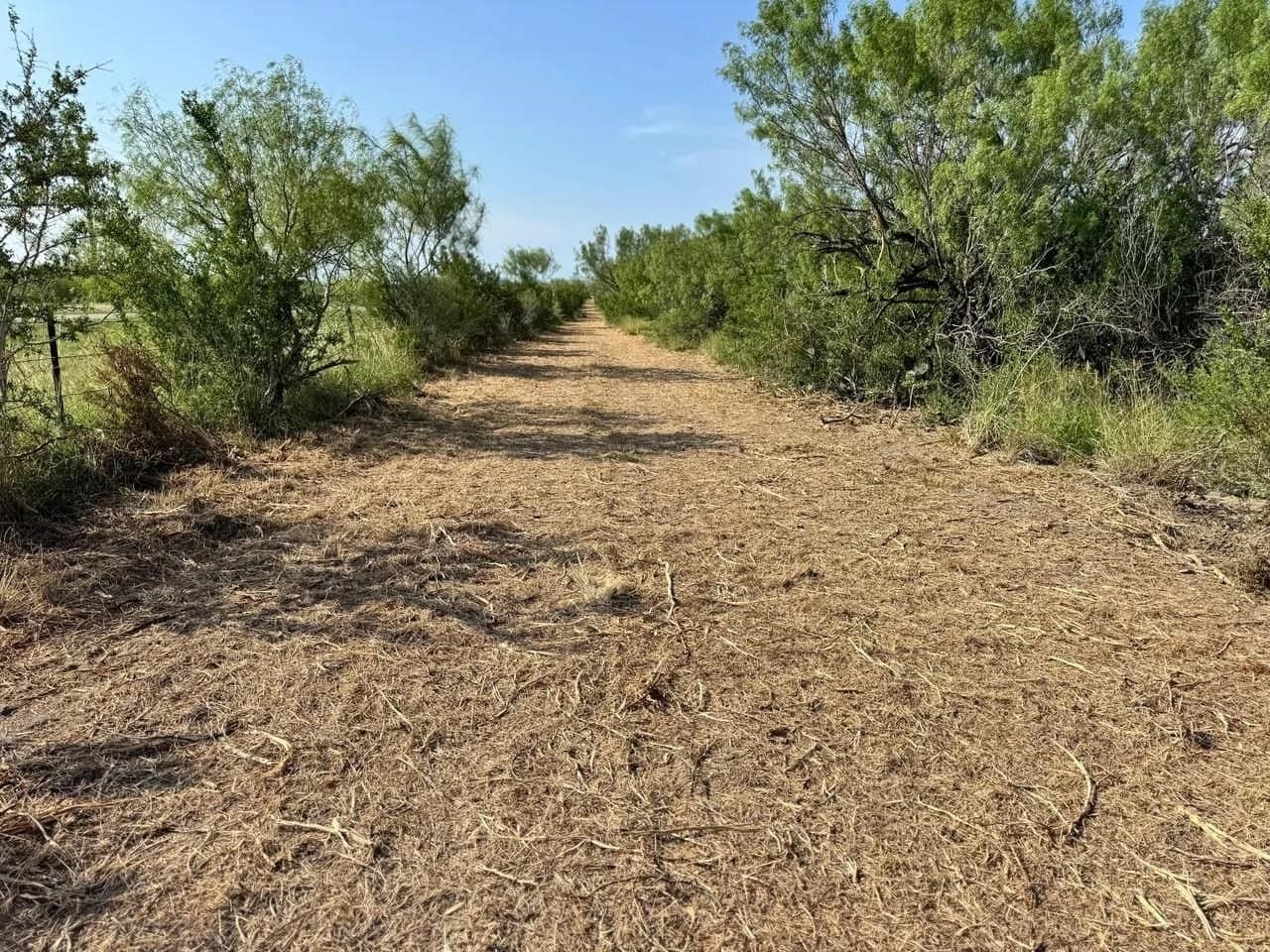 100 acres in La Salle County - photo 12