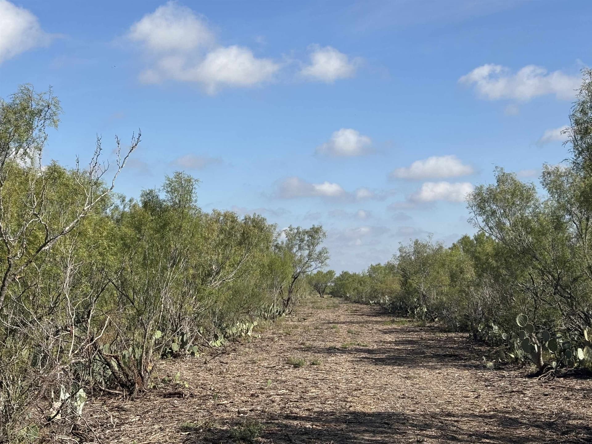 100 acres in La Salle County - photo 5