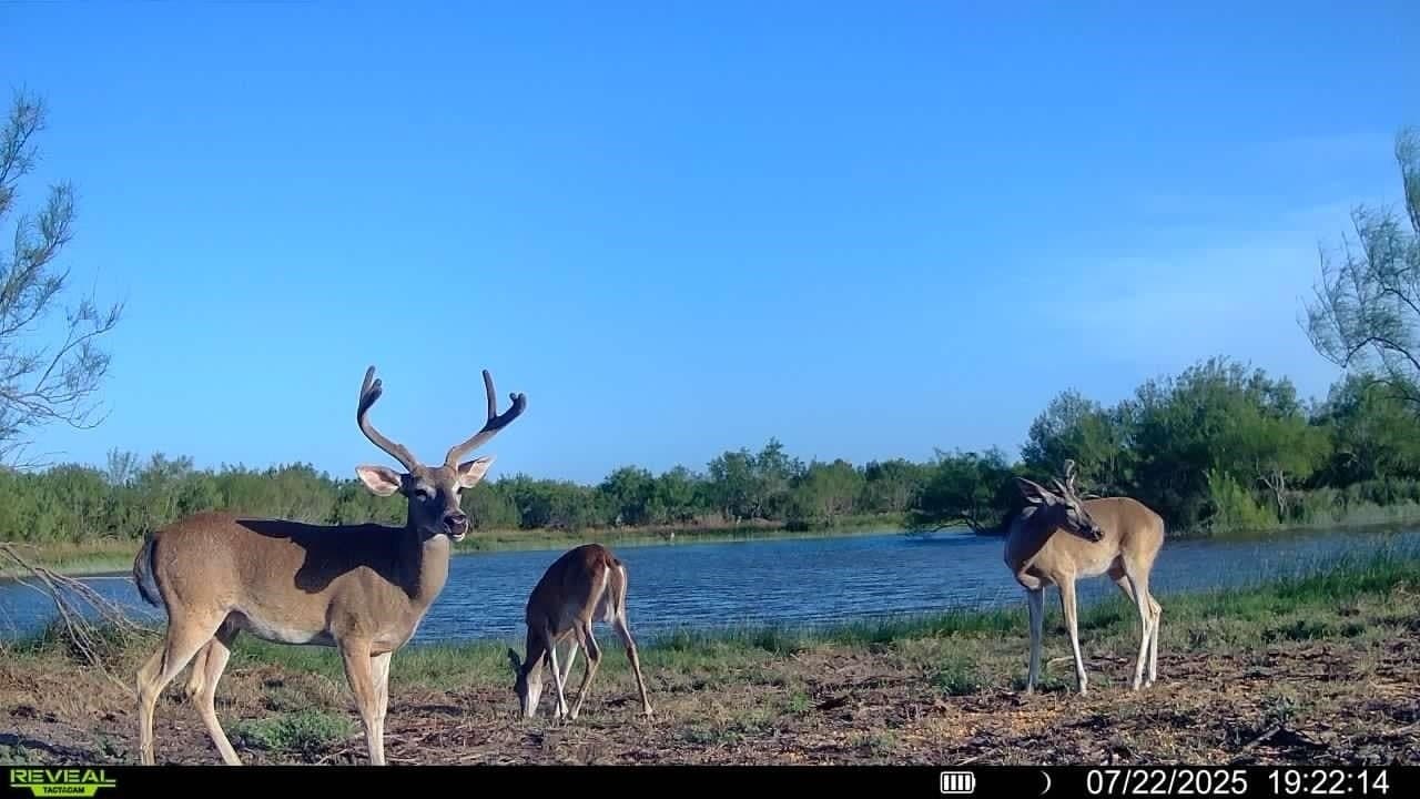 100 acres in La Salle County - photo 7