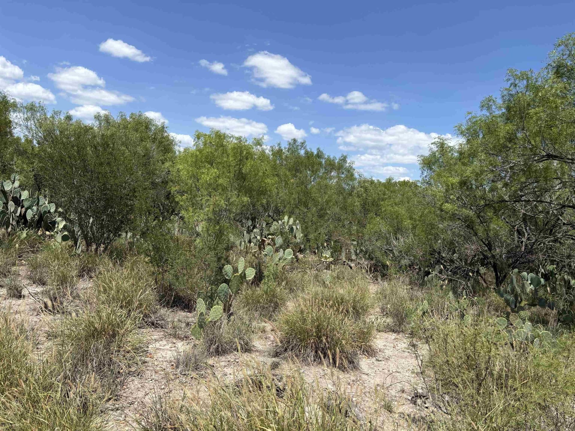 100 acres in La Salle County - photo 14