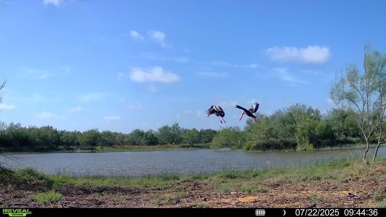 100 acres in La Salle County - photo 9