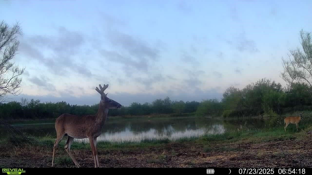 100 acres in La Salle County - photo 8