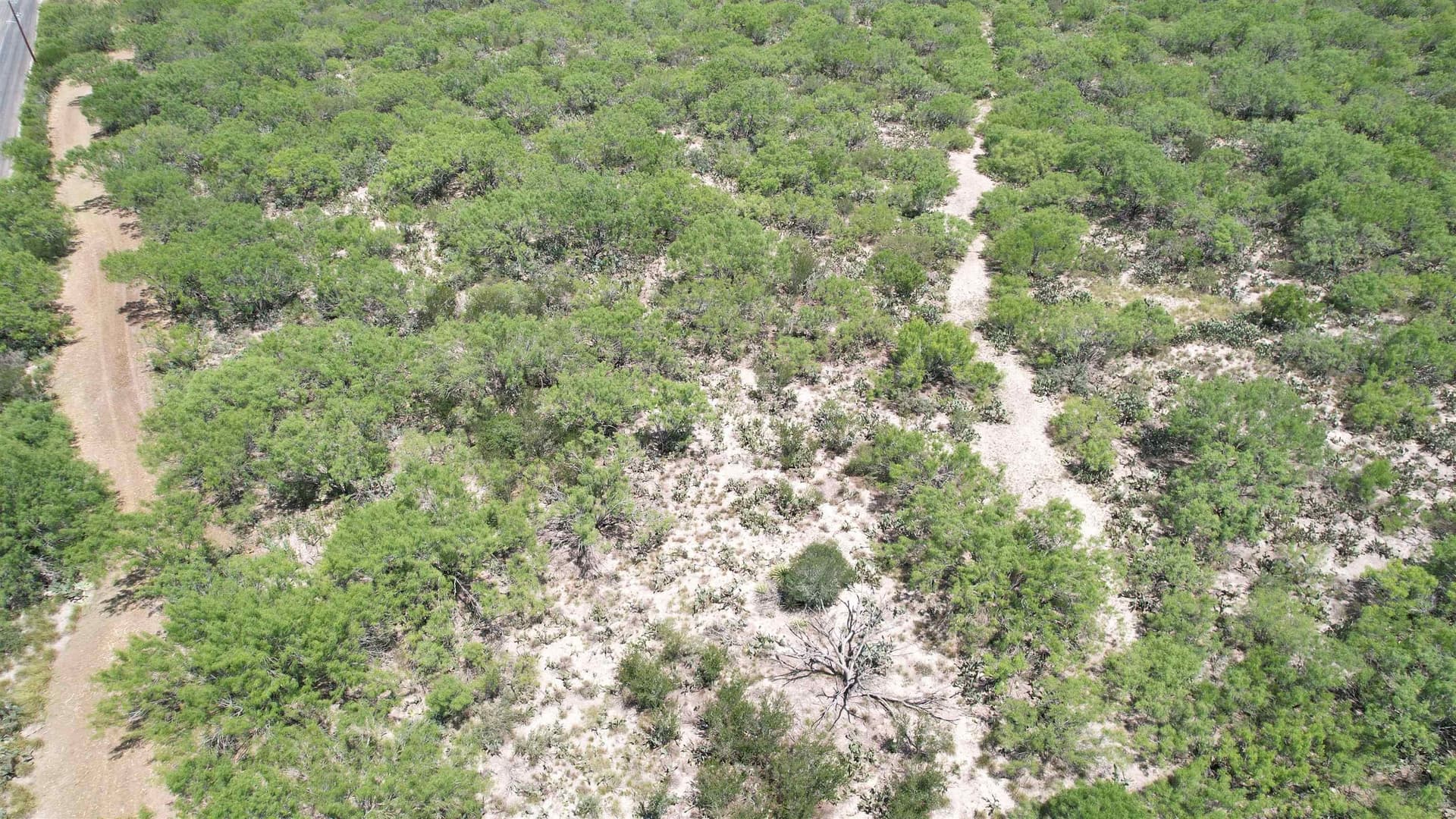 100 acres in La Salle County - photo 15