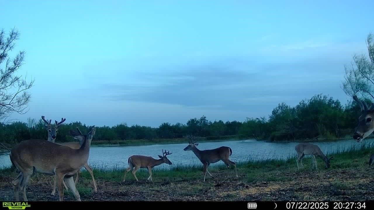 100 acres in La Salle County - photo 10