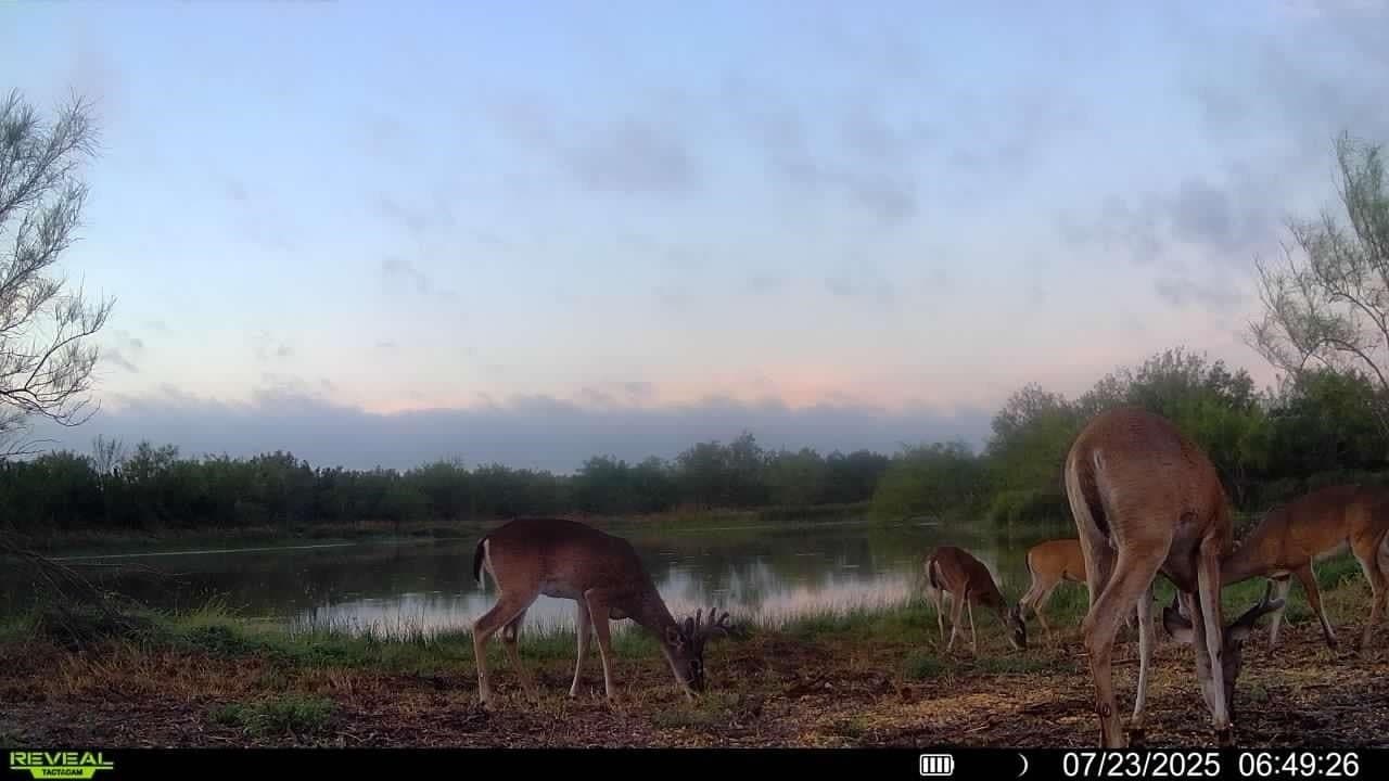 100 acres in La Salle County - photo 11