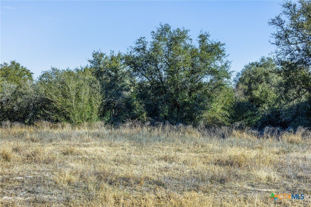 14.05 acres in Victoria County - photo 6