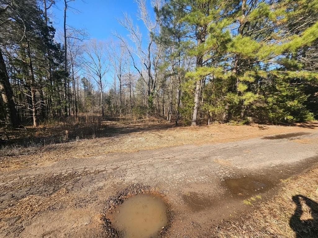 4.8 acres in Camp County - photo 5