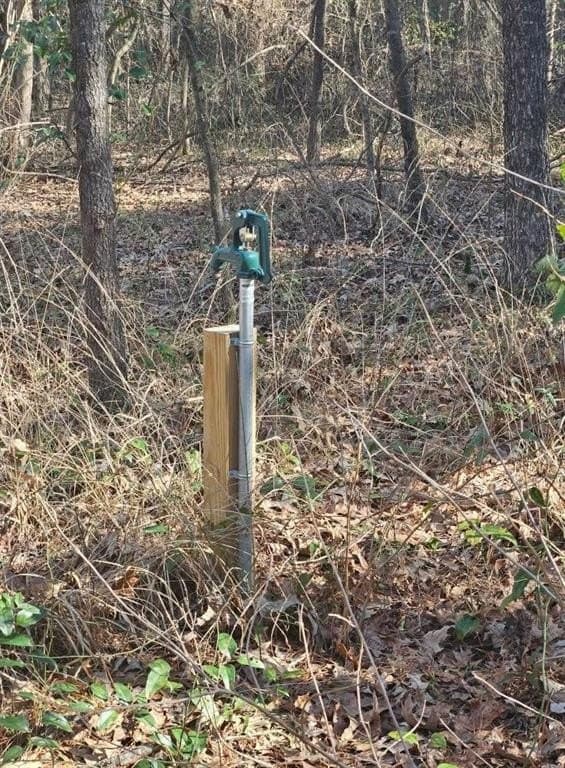 4.8 acres in Camp County - photo 7