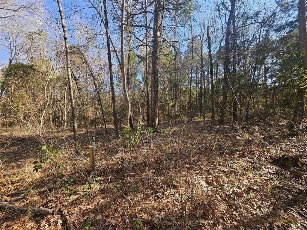 4.8 acres in Camp County - photo 6