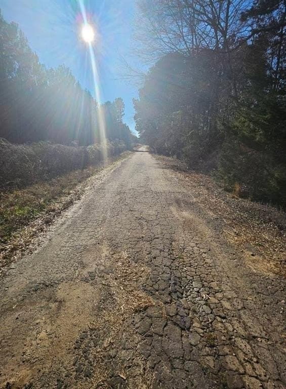 4.8 acres in Camp County - photo 4